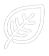 Folha.png